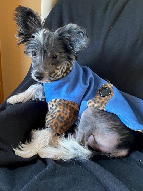 DENIM & LEOPARD FLEECE Lined Dog Coat, Handmade Small Pet Clothing