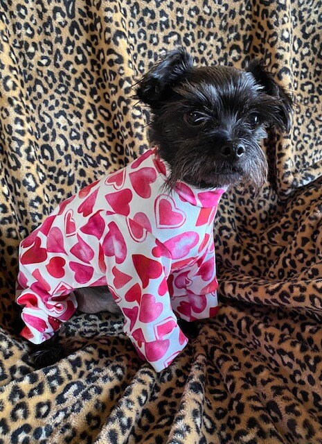 RED HEART Dog Jammies, Small Pet Onesie