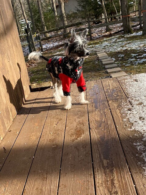 HANDMADE FLEECE COAT for Small Dogs, Winter Pet Clothes