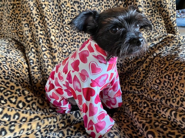 RED HEART Dog Jammies, Small Pet Onesie