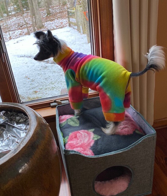 TIE DYE PLUSH Fleece Dog Jammies, Winter Onesie for Small Pets