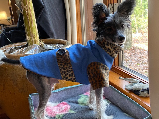 DENIM & LEOPARD FLEECE Lined Dog Coat, Handmade Small Pet Clothing