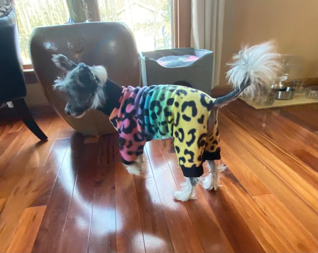 RAINBOW LEOPARD FLEECE Dog Jammies, Handmade Small Pet Clothing