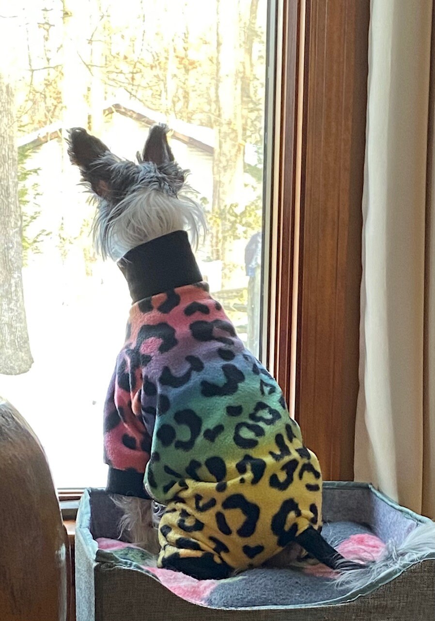 RAINBOW LEOPARD FLEECE Dog Jammies, Handmade Small Pet Clothing