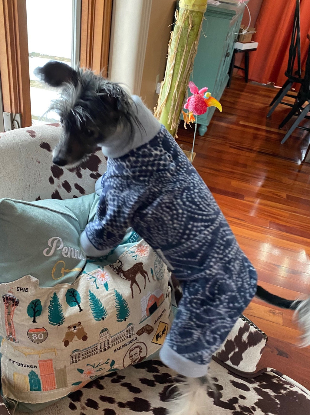 Mandala Print Fleece Dog Jammies, Small Dog Onesie