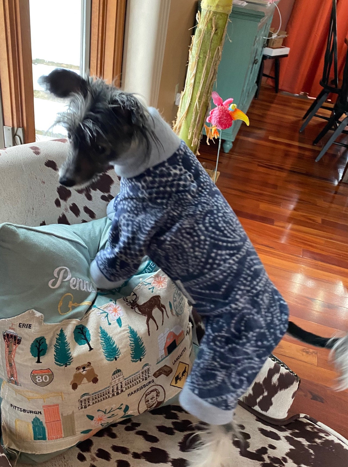 Mandala Print Fleece Dog Jammies, Small Dog Onesie
