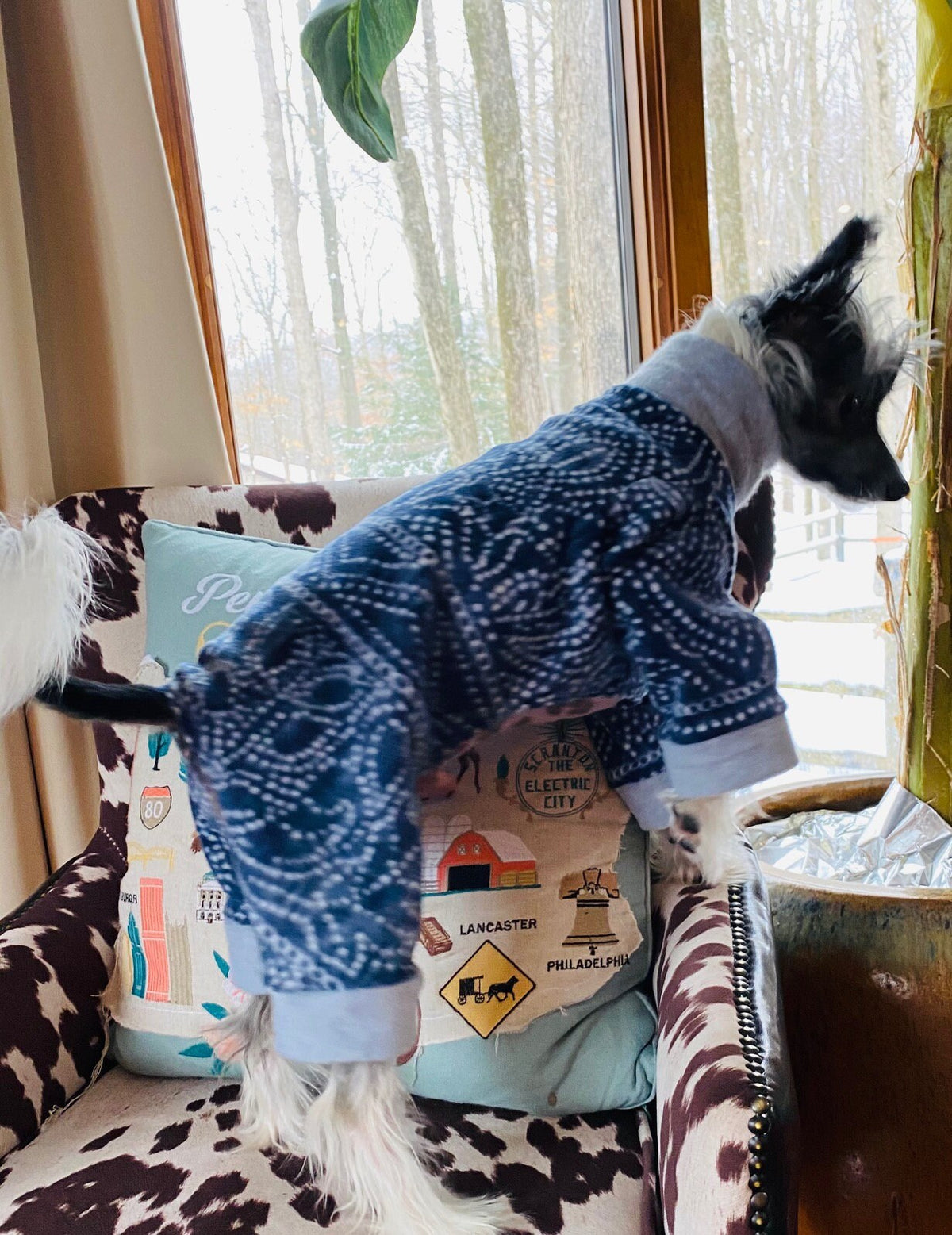 Mandala Print Fleece Dog Jammies, Small Dog Onesie