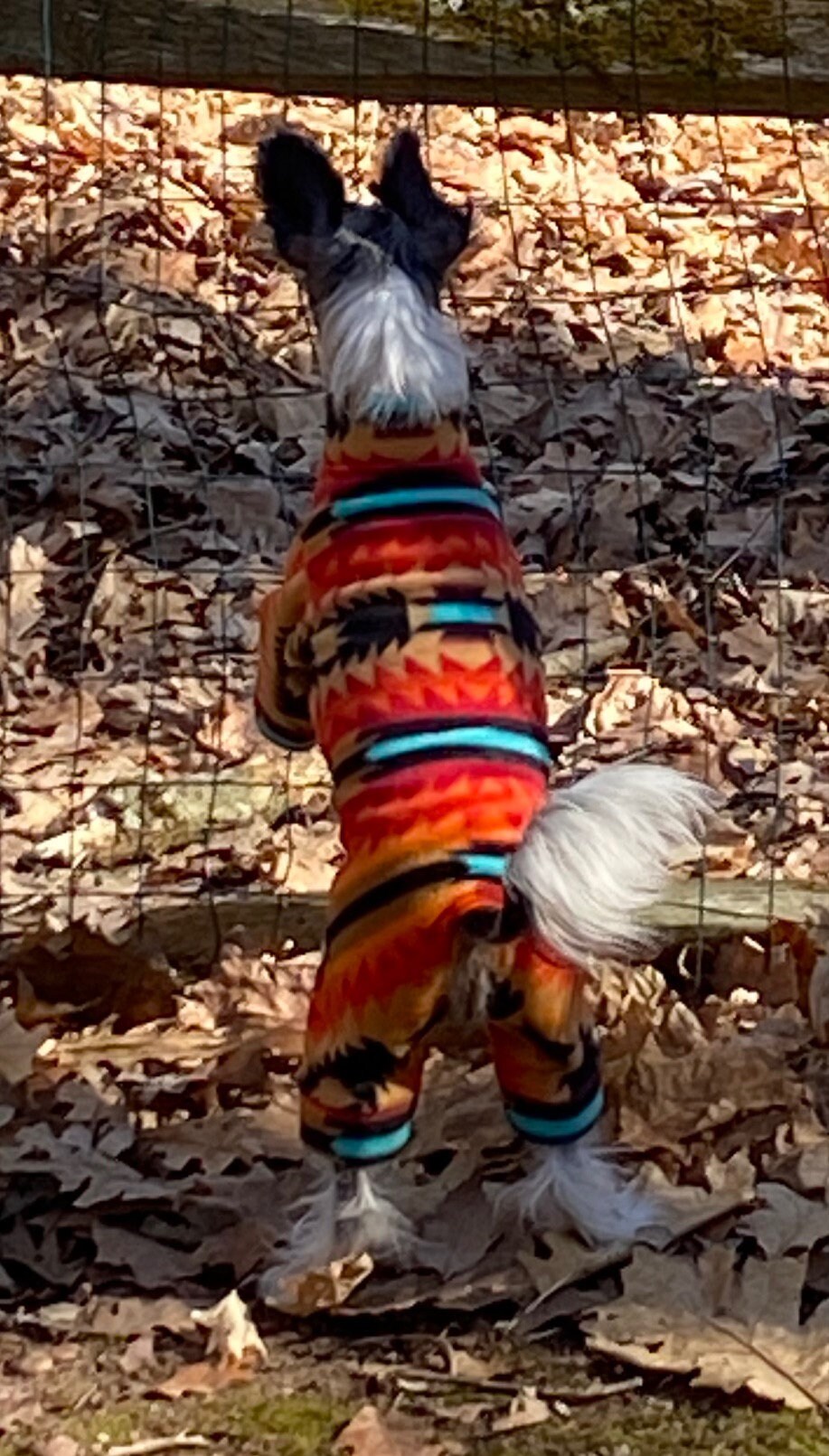 SOUTHWESTERN FLEECE ONESIE for Small Dogs, Handmade Pet Clothing
