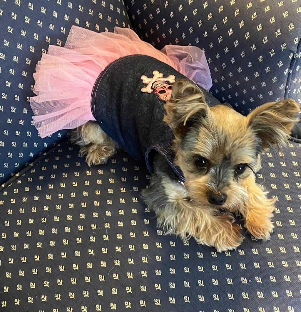 SKULL APPLIQUE' DENIM Pet Dress, Handmade Pink Tulle Dog Dress