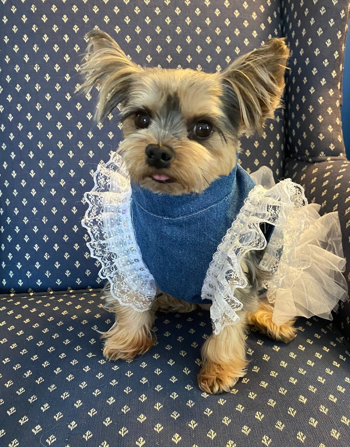 MY PERFECT ANGEL Dress for Small Pets, Handmade Dog Dress