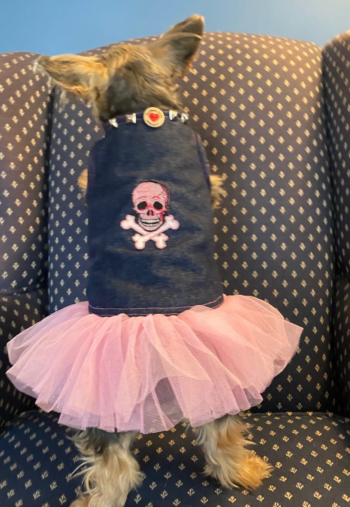 SKULL APPLIQUE' DENIM Pet Dress, Handmade Pink Tulle Dog Dress