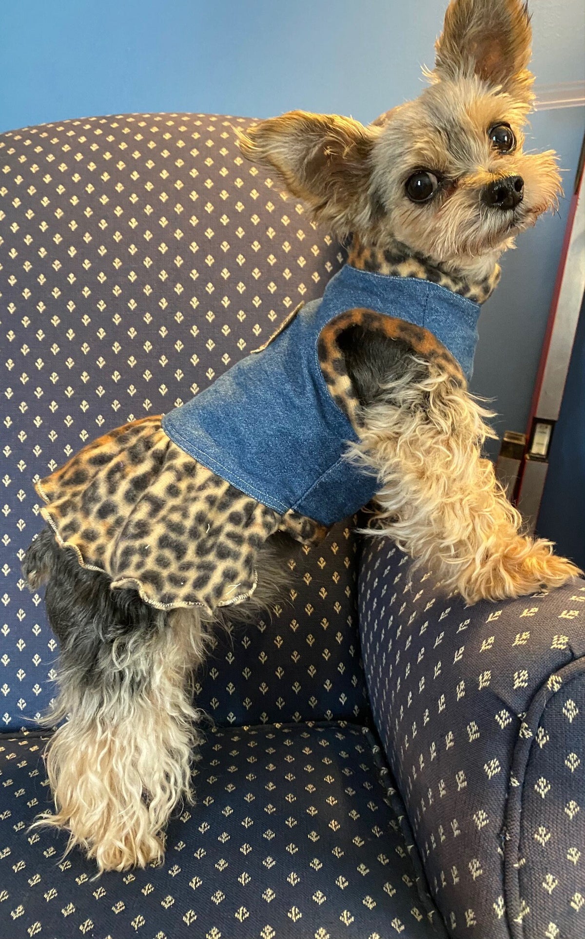 BLING LEOPARD HEART Denim Dog Dress, Handmade Pet Dress
