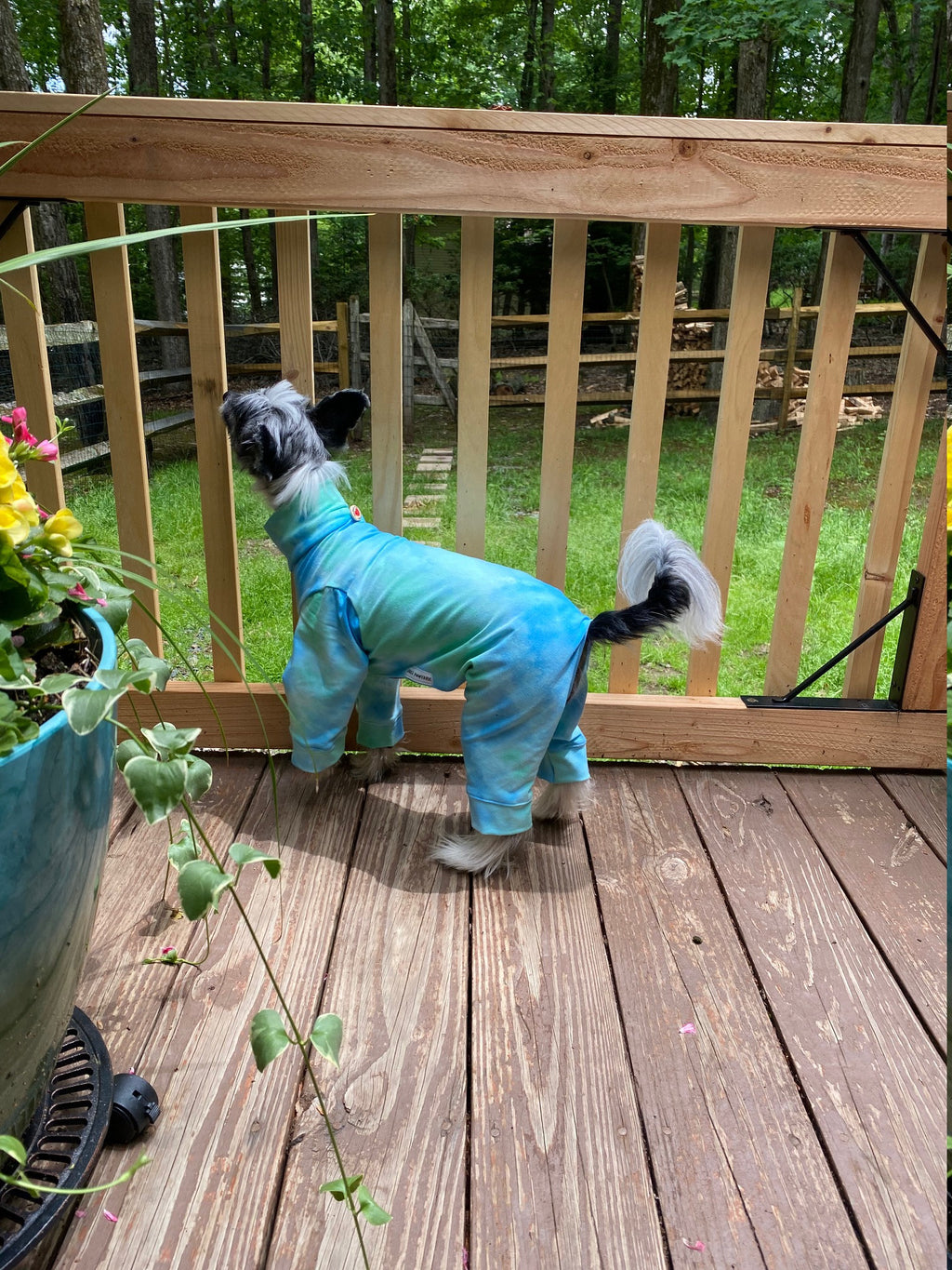 CARIBBEAN WATERS Tie Dye Dog Onesie: Lightweight Summer Pet Jammies