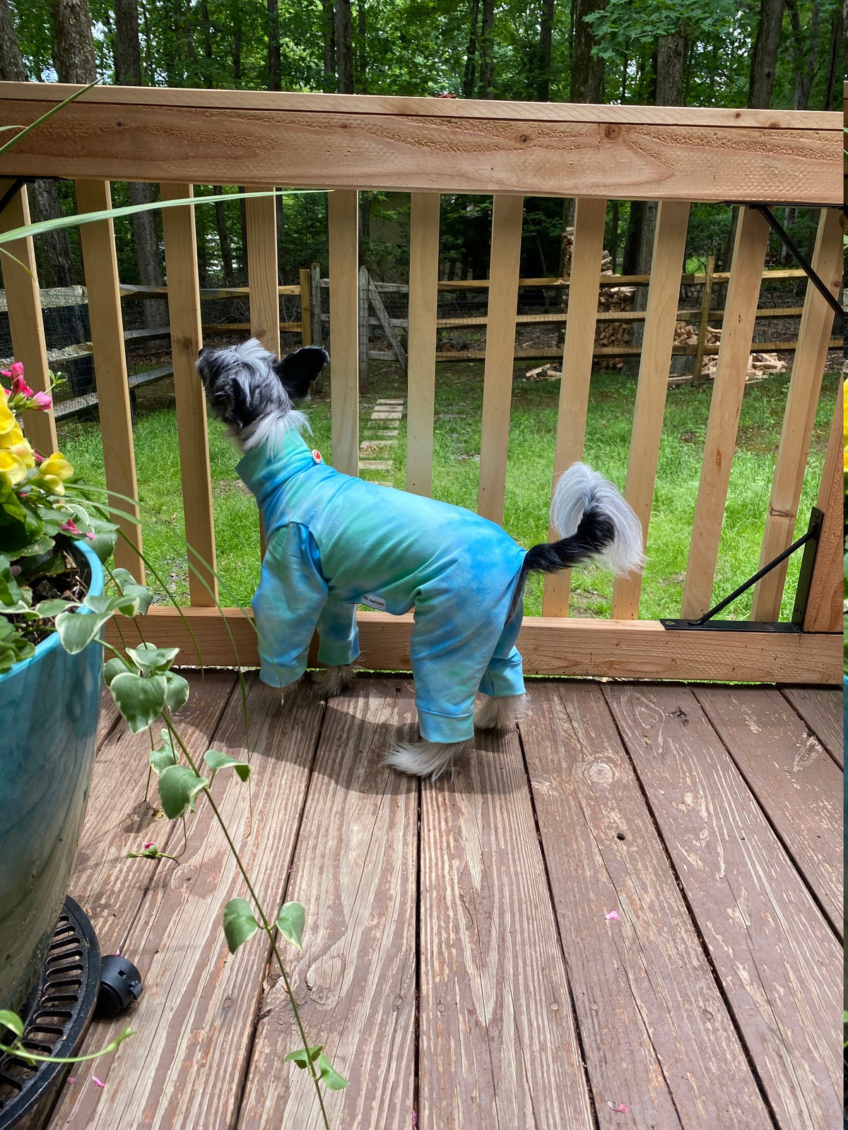 CARIBBEAN WATERS Tie Dye Dog Onesie: Lightweight Summer Pet Jammies