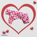 RED HEART Dog Jammies, Small Pet Onesie