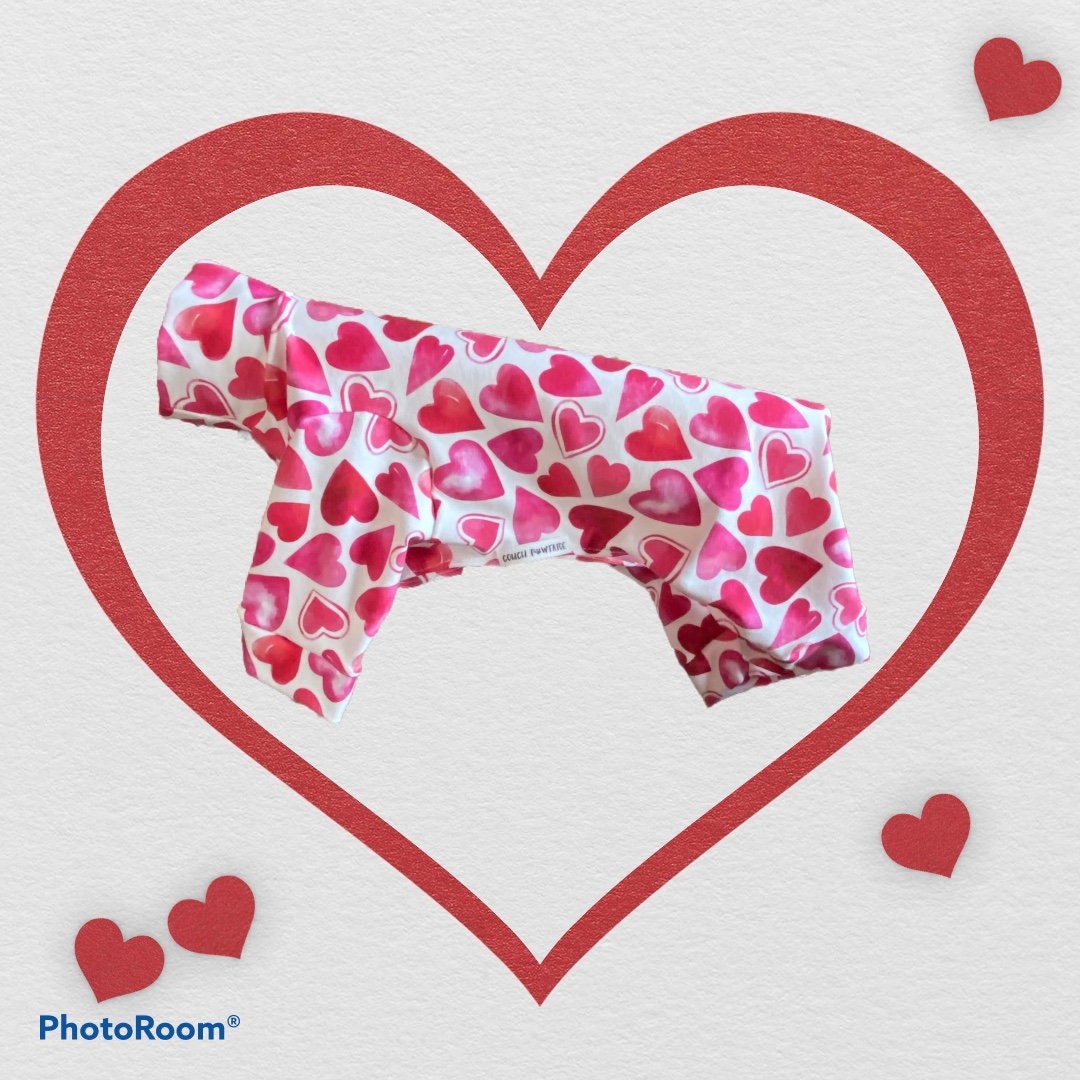 RED HEART Dog Jammies, Small Pet Onesie