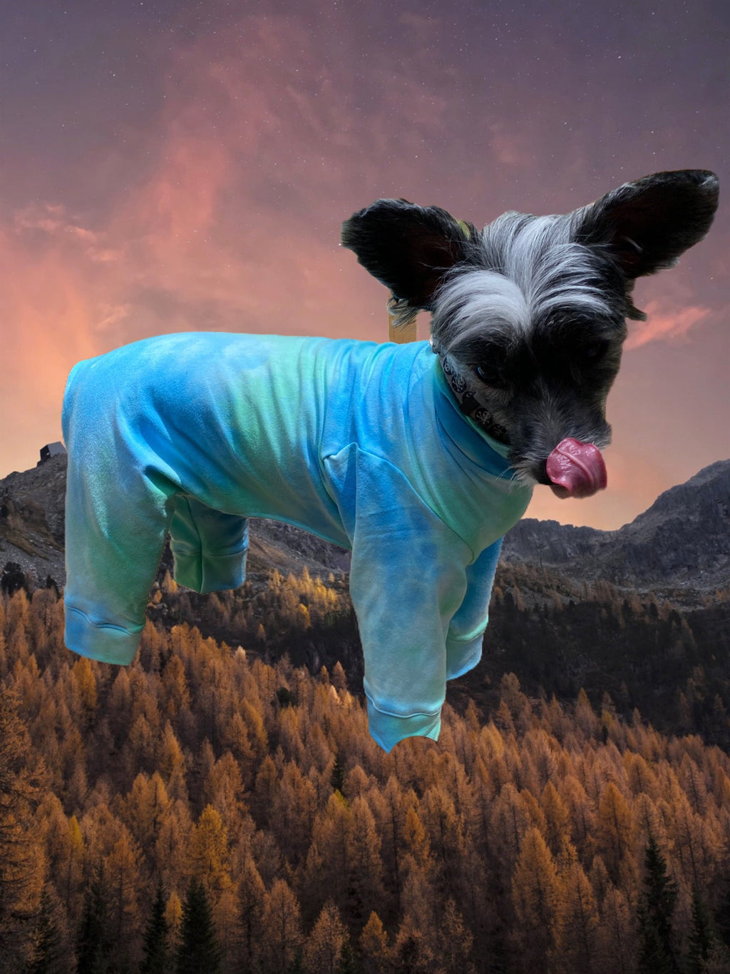 CARIBBEAN WATERS Tie Dye Dog Onesie: Lightweight Summer Pet Jammies