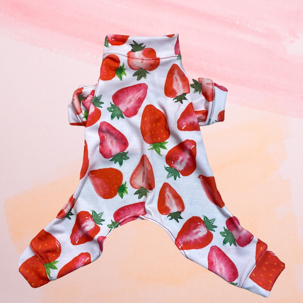STRAWBERRY FIELDS Dog Jammies:  Lightweight Onesie for Small Pets