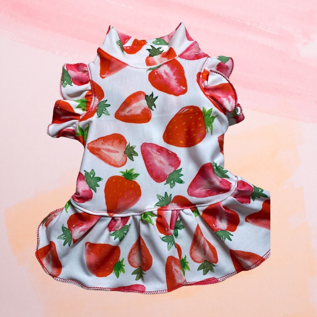 STRAWBERRY FESTIVAL DRESS for Small Pets: Handmade Dog Clothing