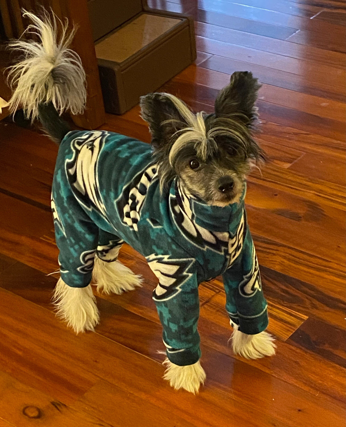 EAGLES FOOTBALL FLEECE Dog Onesie, Football Jammies for Small Pets