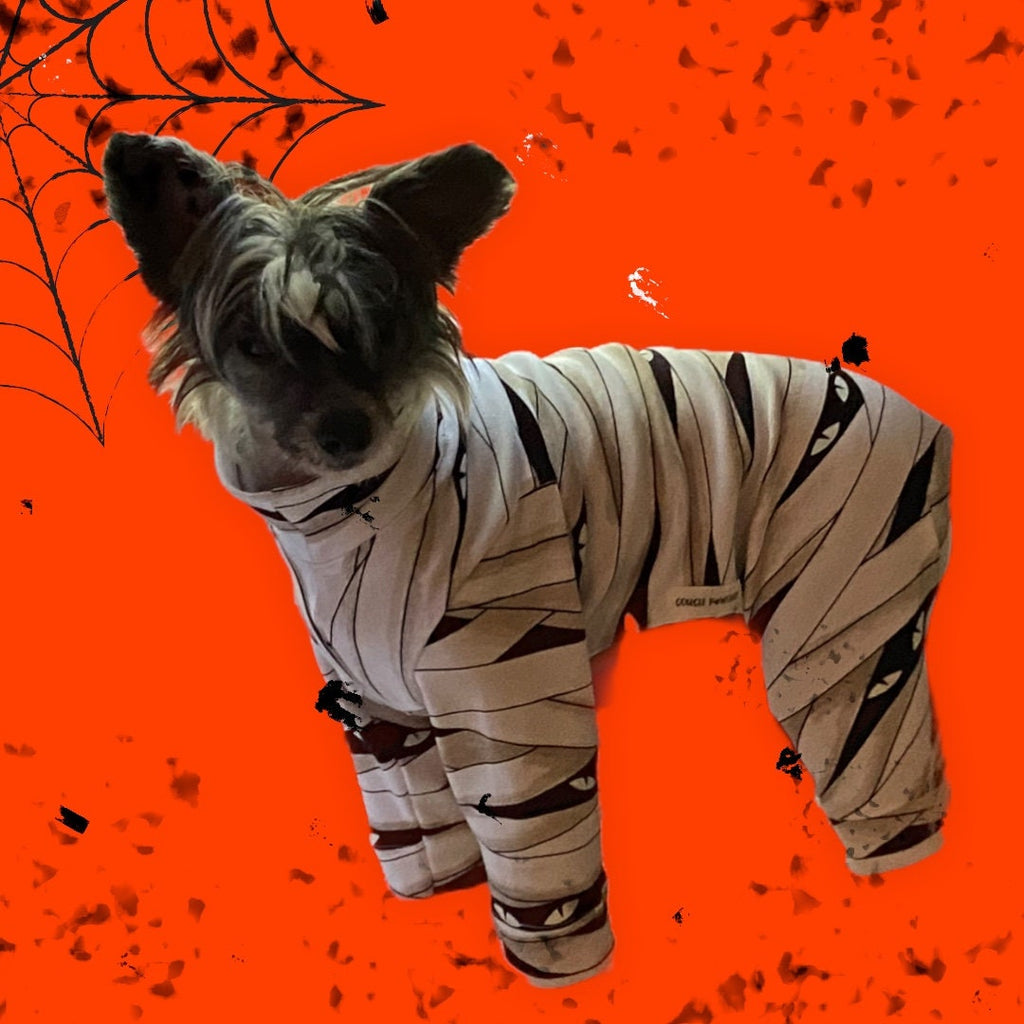 MUMMY'S BOY or GIRL Onesie for Small Pets, Glow-in-Dark Eyes, Lightweight Onesie