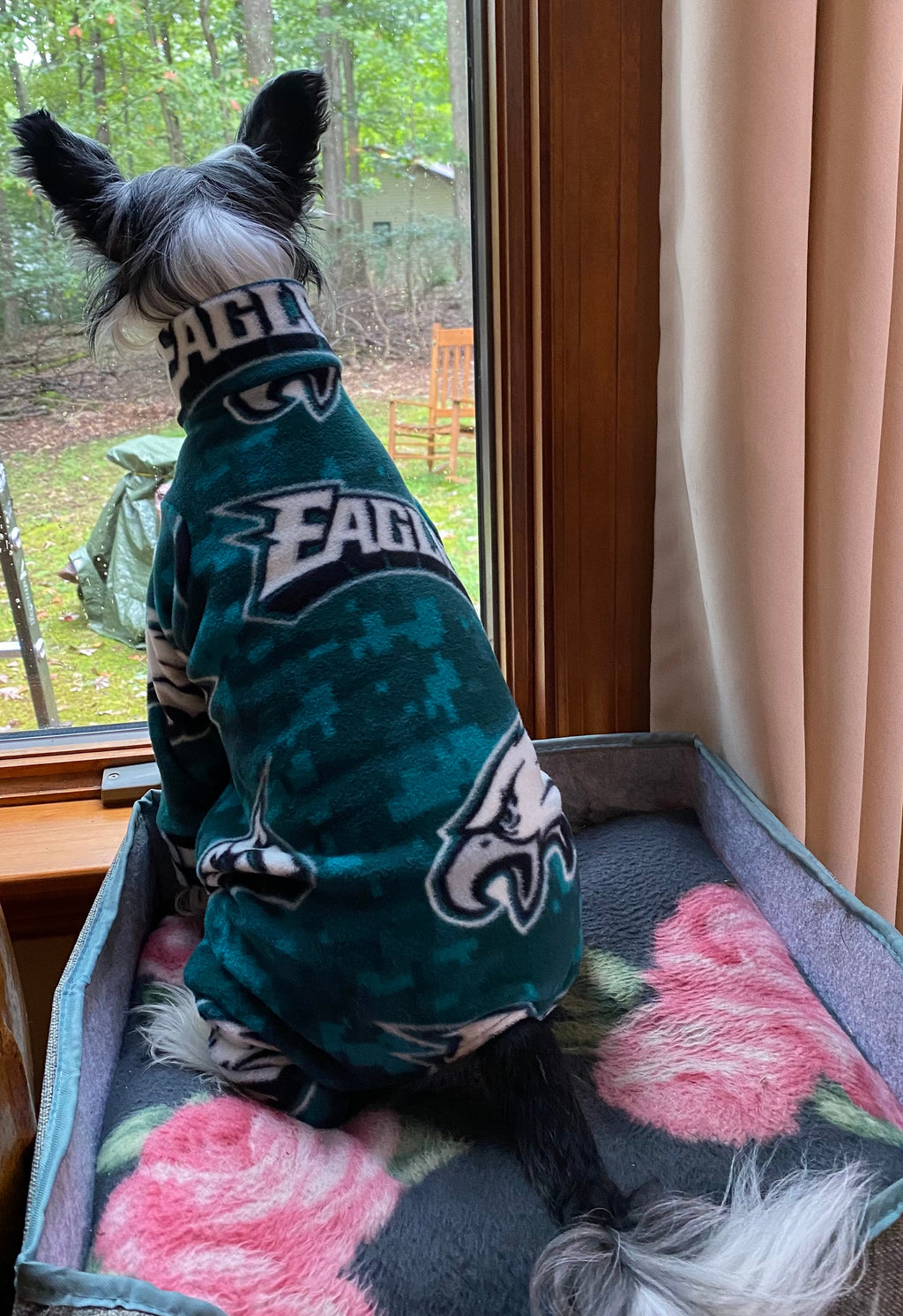 EAGLES FOOTBALL FLEECE Dog Onesie, Football Jammies for Small Pets