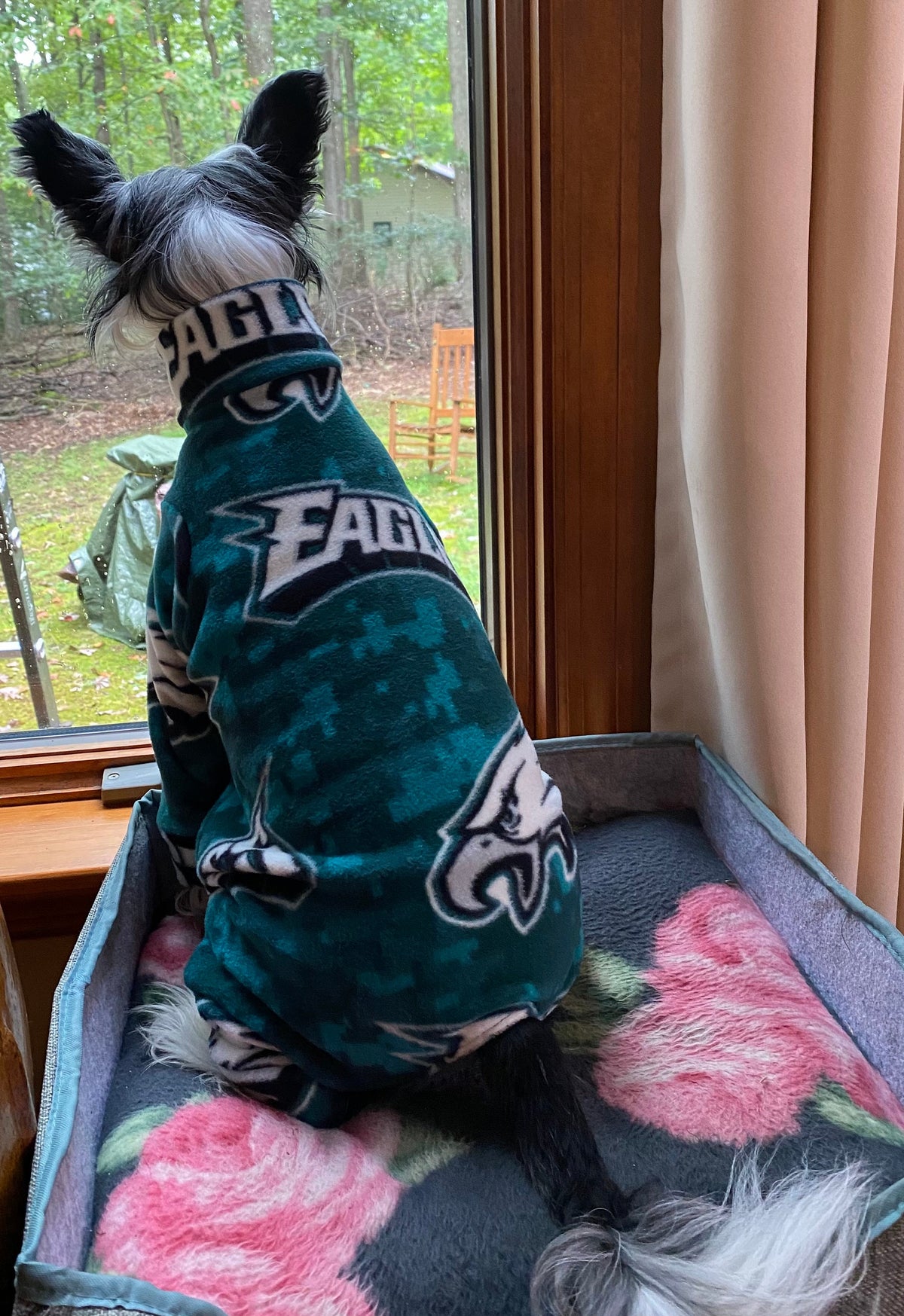 EAGLES FOOTBALL FLEECE Dog Onesie, Football Jammies for Small Pets