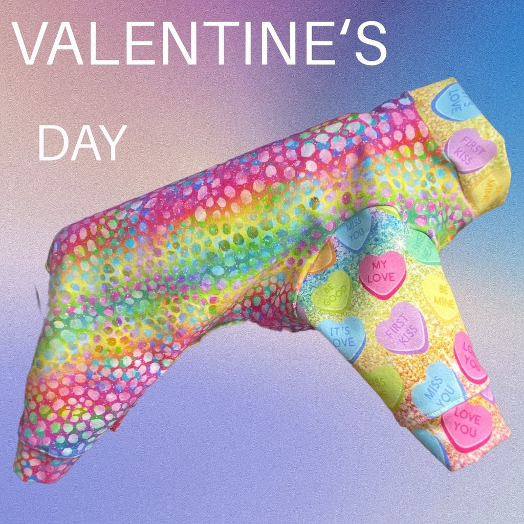 RAINBOW CANDY HEART Dog Onesie, Handmade Dog Clothing