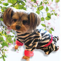ZEBRA ZA ZA Fleece Dog Onesie: Cute, cozy and warm Pet Clothing