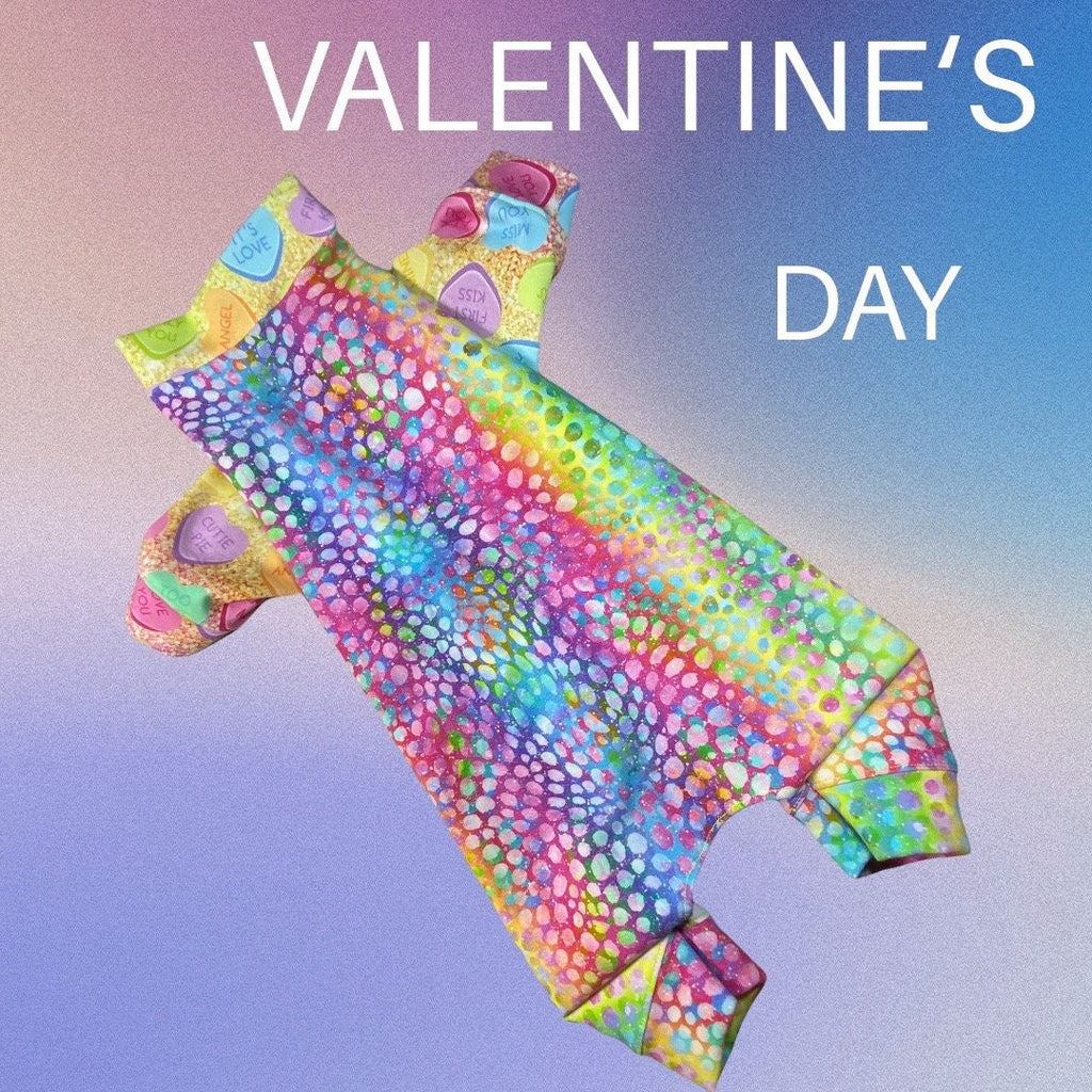 RAINBOW CANDY HEART Dog Onesie, Handmade Dog Clothing