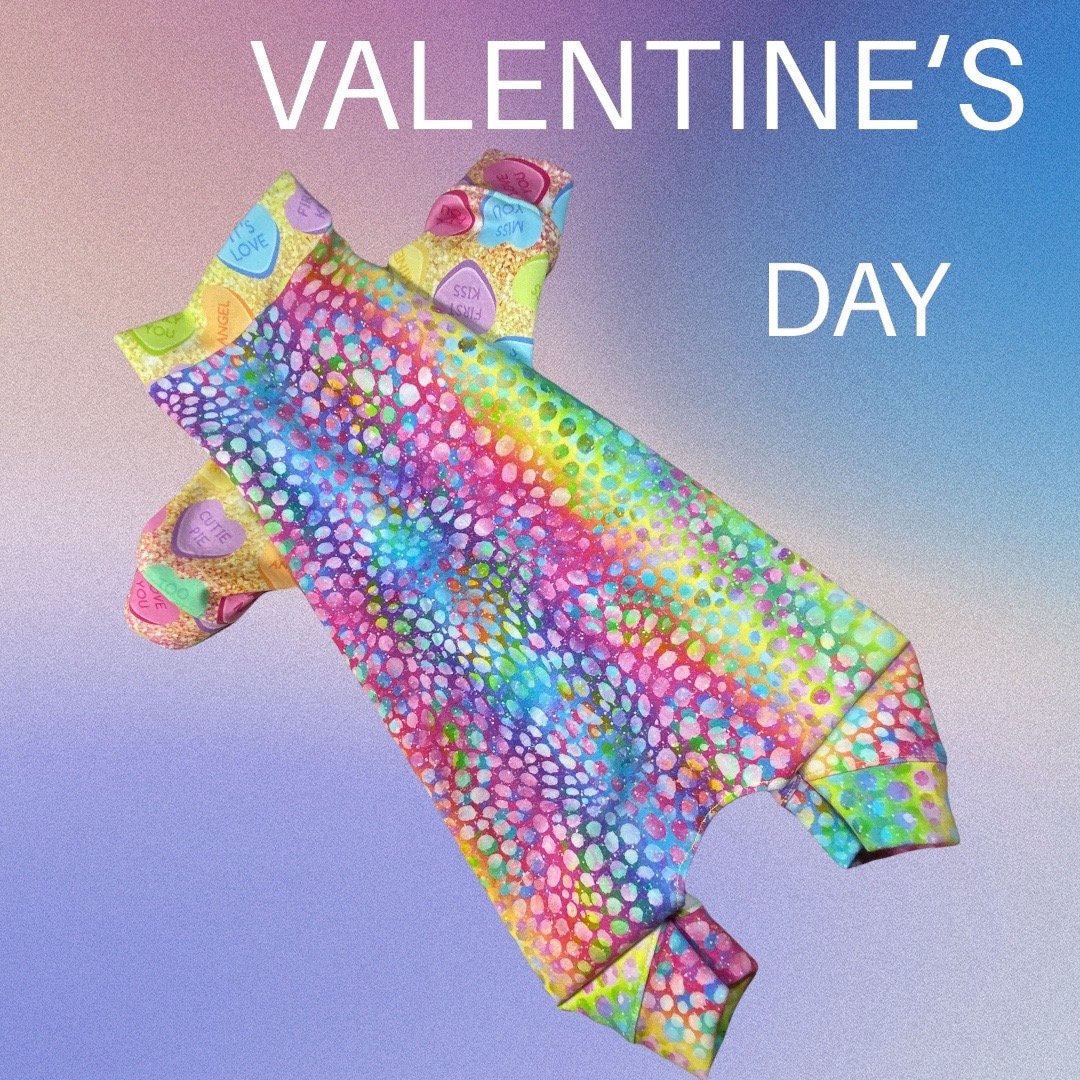 RAINBOW CANDY HEART Dog Onesie, Handmade Dog Clothing