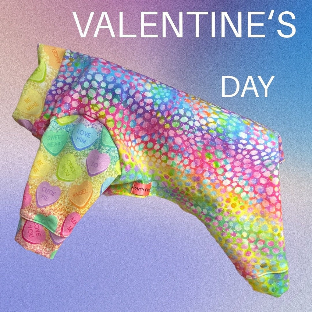 RAINBOW CANDY HEART Dog Onesie, Handmade Dog Clothing