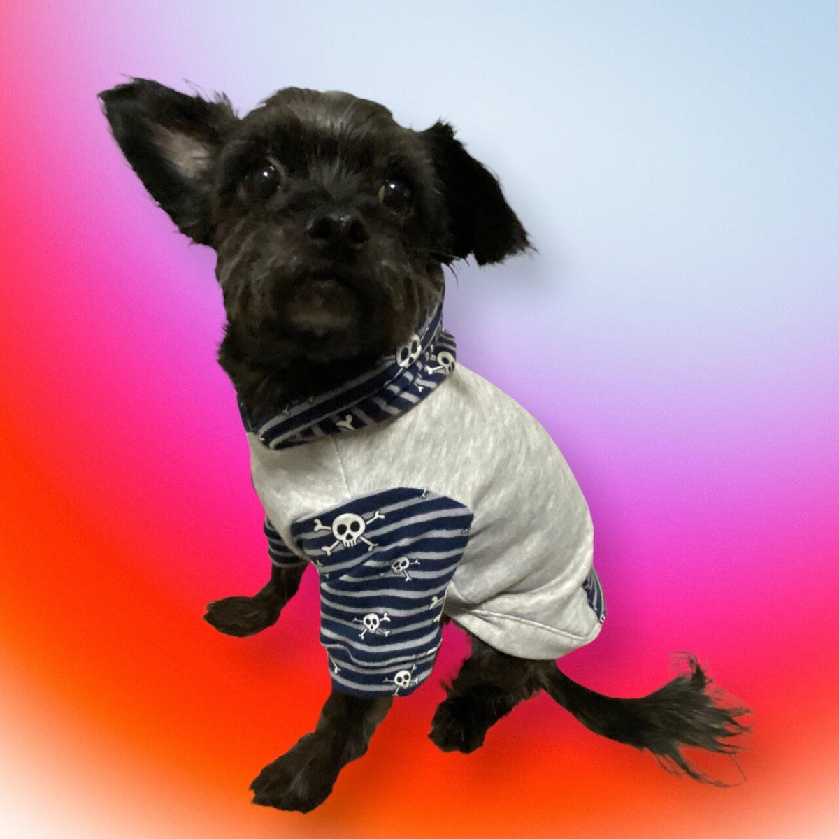 SKULL PRINT Dog Hoodie, Handmade Cotton Blend, Small Pet Clothing