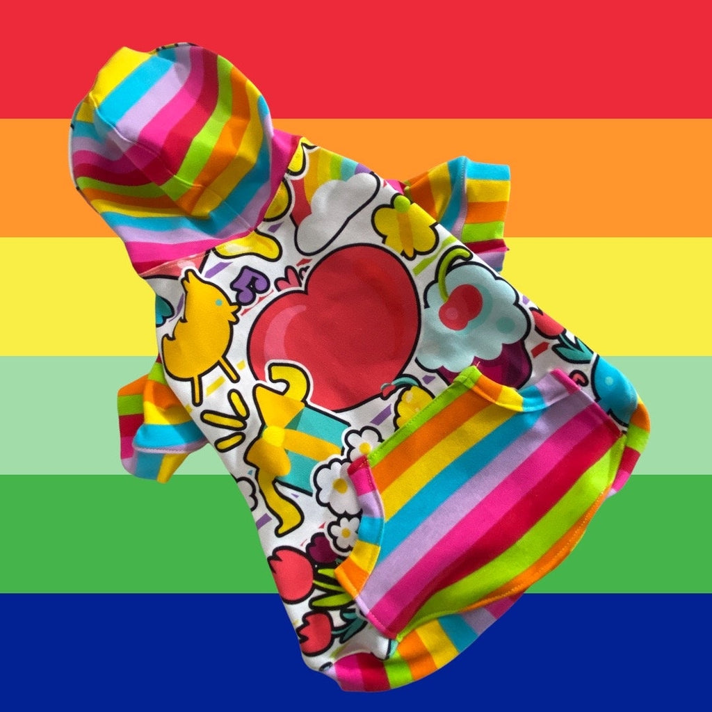 RETRO RAINBOW COLLAGE Dog Hoodie, Handmade Pet Clothing
