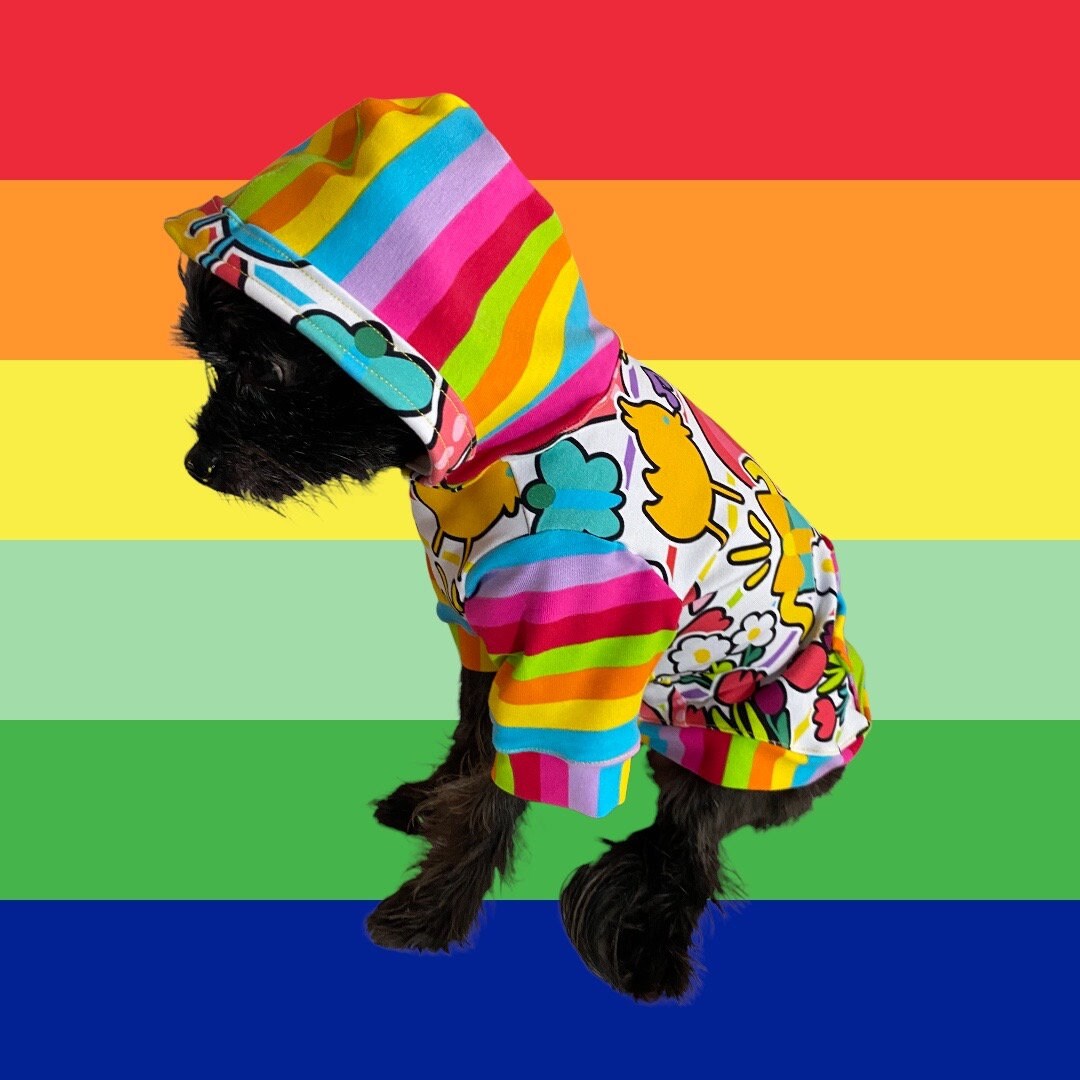 RETRO RAINBOW COLLAGE Dog Hoodie, Handmade Pet Clothing