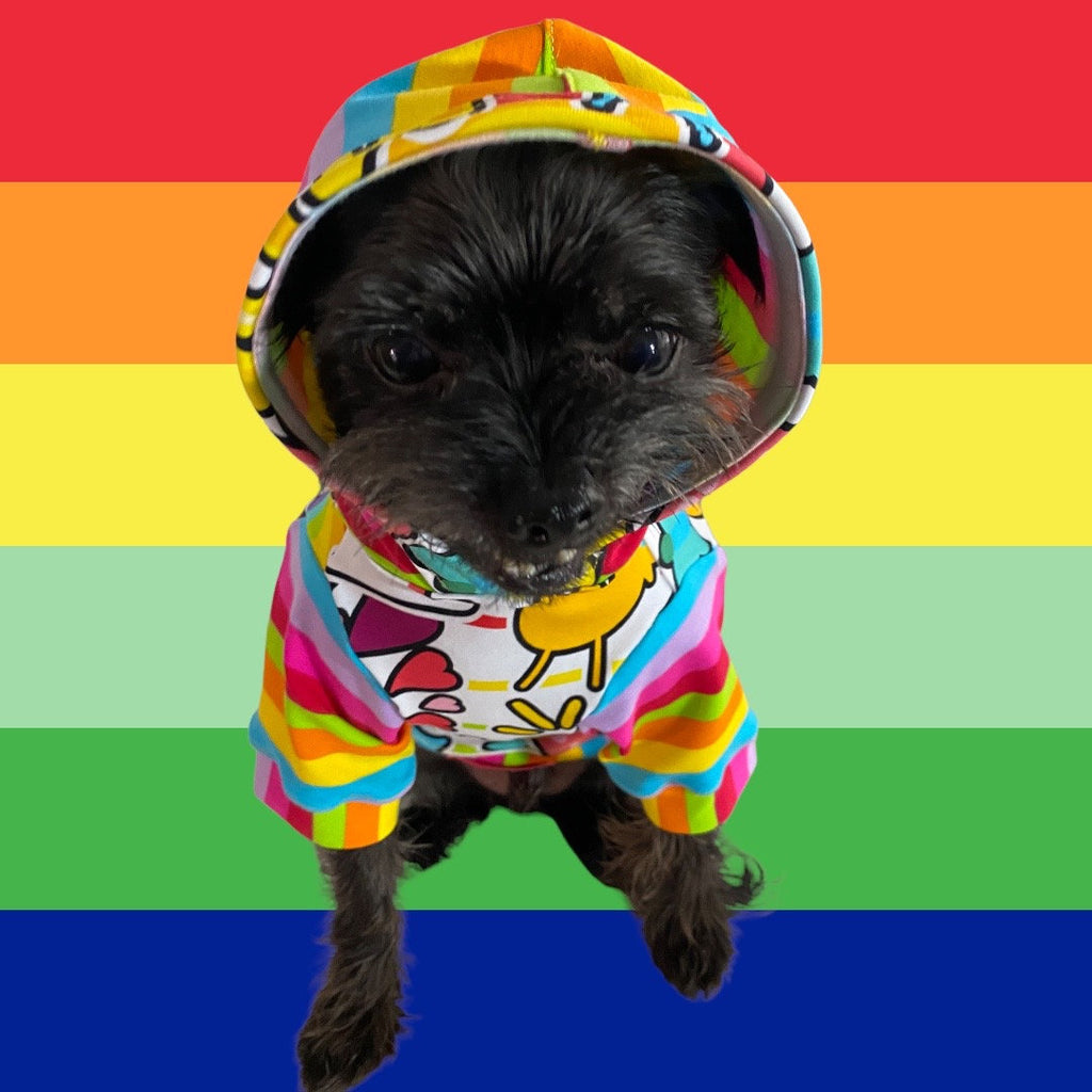RETRO RAINBOW COLLAGE Dog Hoodie, Handmade Pet Clothing