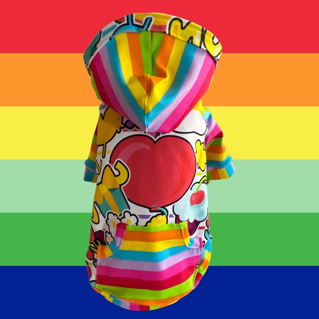 RETRO RAINBOW COLLAGE Dog Hoodie, Handmade Pet Clothing