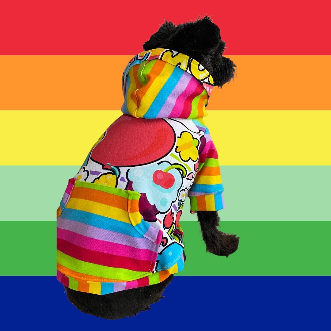 RETRO RAINBOW COLLAGE Dog Hoodie, Handmade Pet Clothing