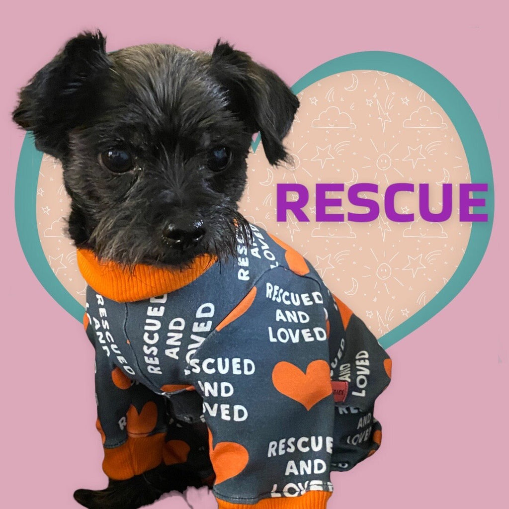 RESCUED and LOVED Dog Onesie, Handmade Jammies for Small Pets