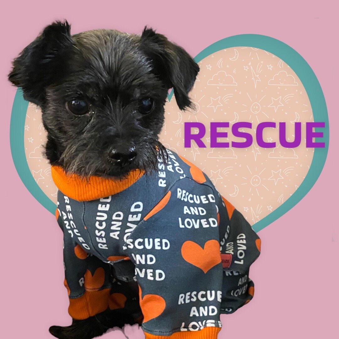 RESCUED and LOVED Dog Onesie, Handmade Jammies for Small Pets