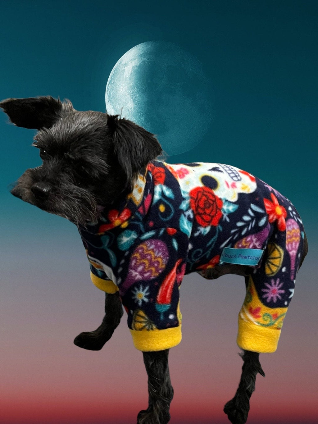 DAY of the DEAD FLEECE Jammies for Small Dogs, Handmade Pet Apparel