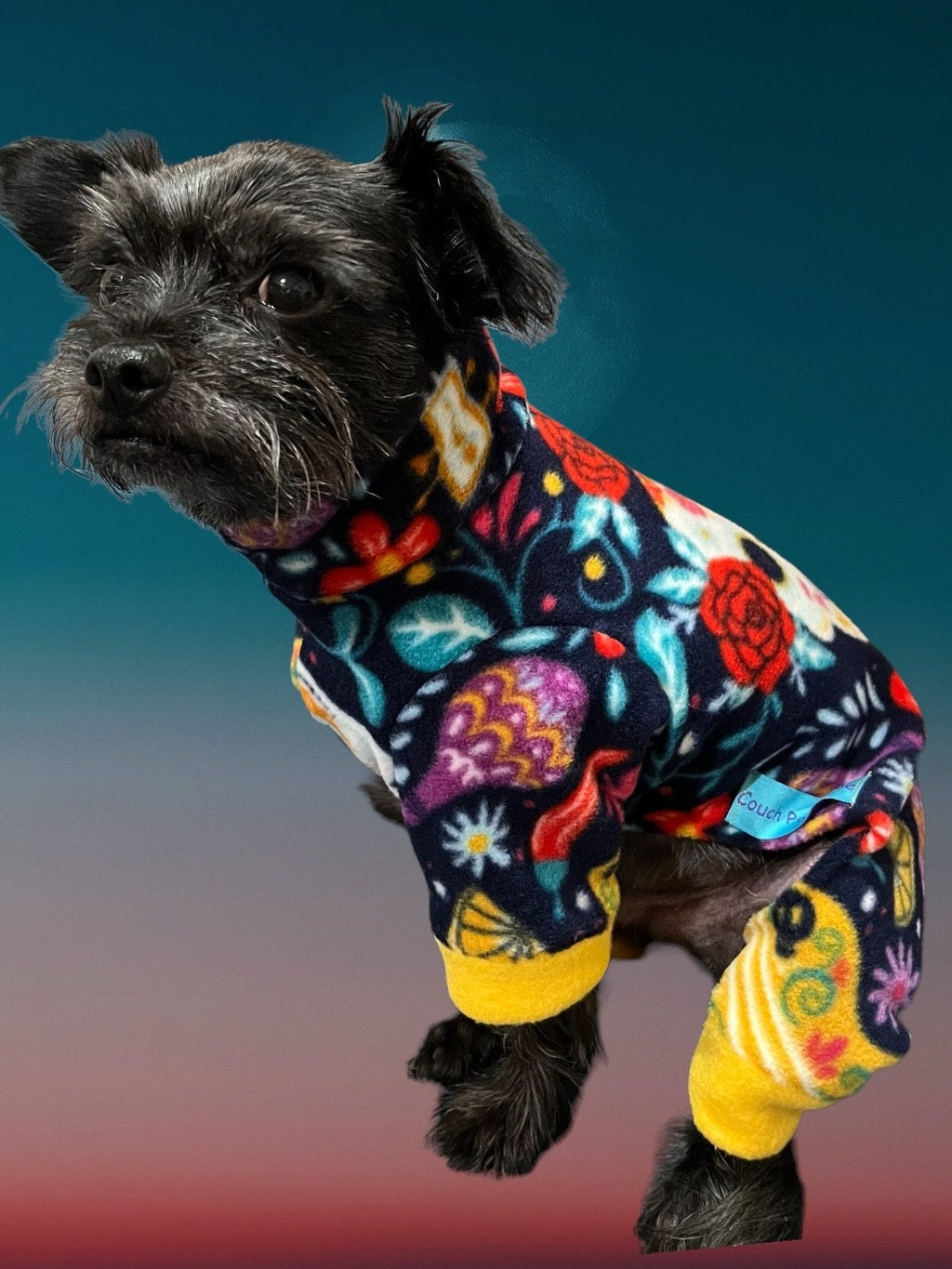 DAY of the DEAD FLEECE Jammies for Small Dogs, Handmade Pet Apparel