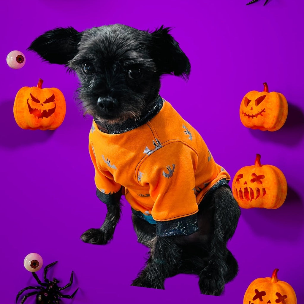 SILVER FOIL BATS Shirt for Small Pets, Handmade Spooky Dog Apparel