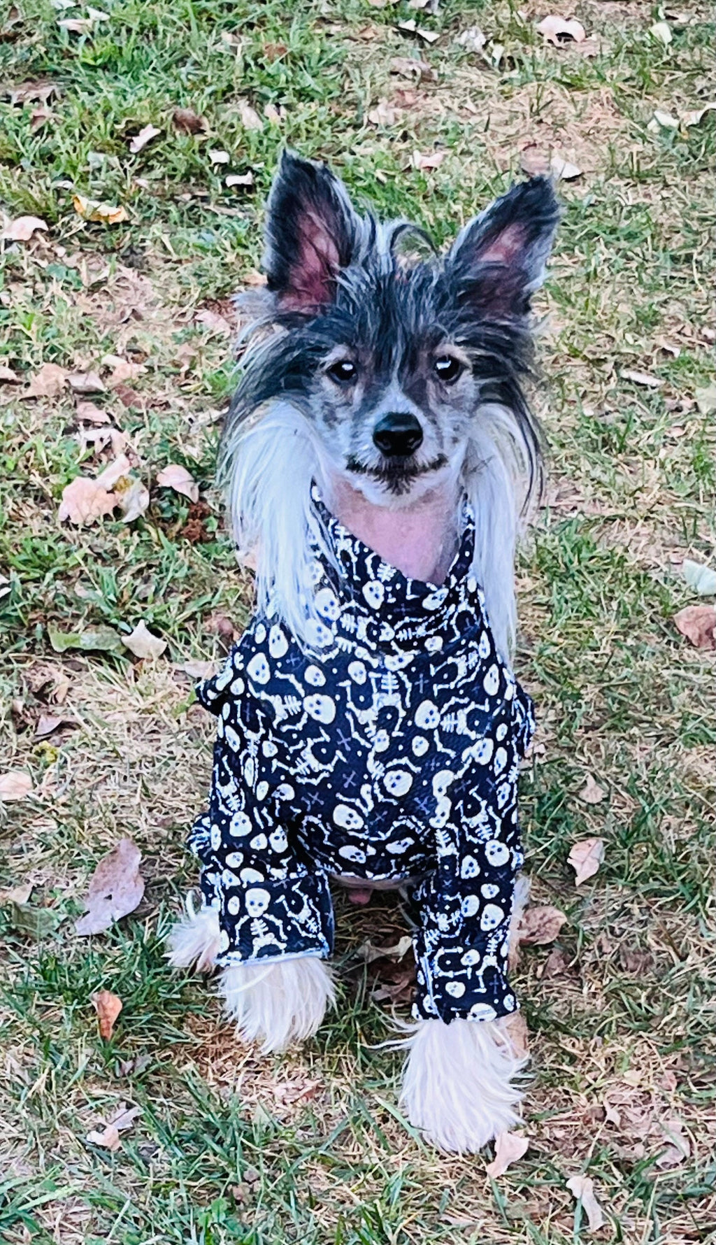 BONE YARD SKELETONS Waffle Knit Pet Jammies: Handmade Halloween Dog Onesie