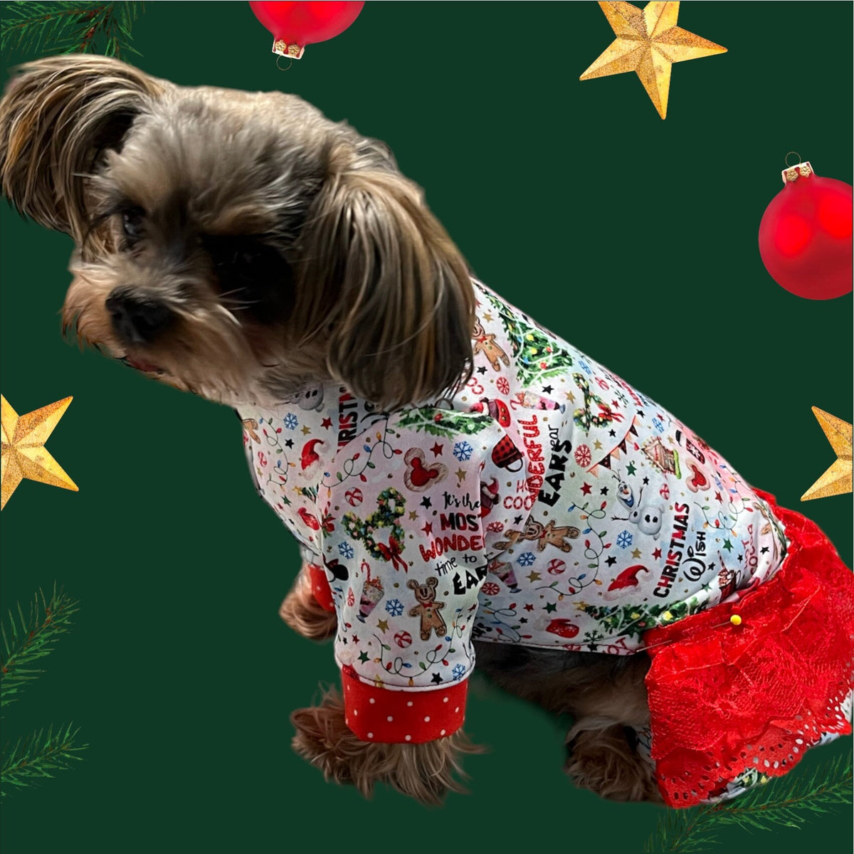 MOST WONDERFUL CHRISTMAS Dog Onesie, Handmade Pet Jammies