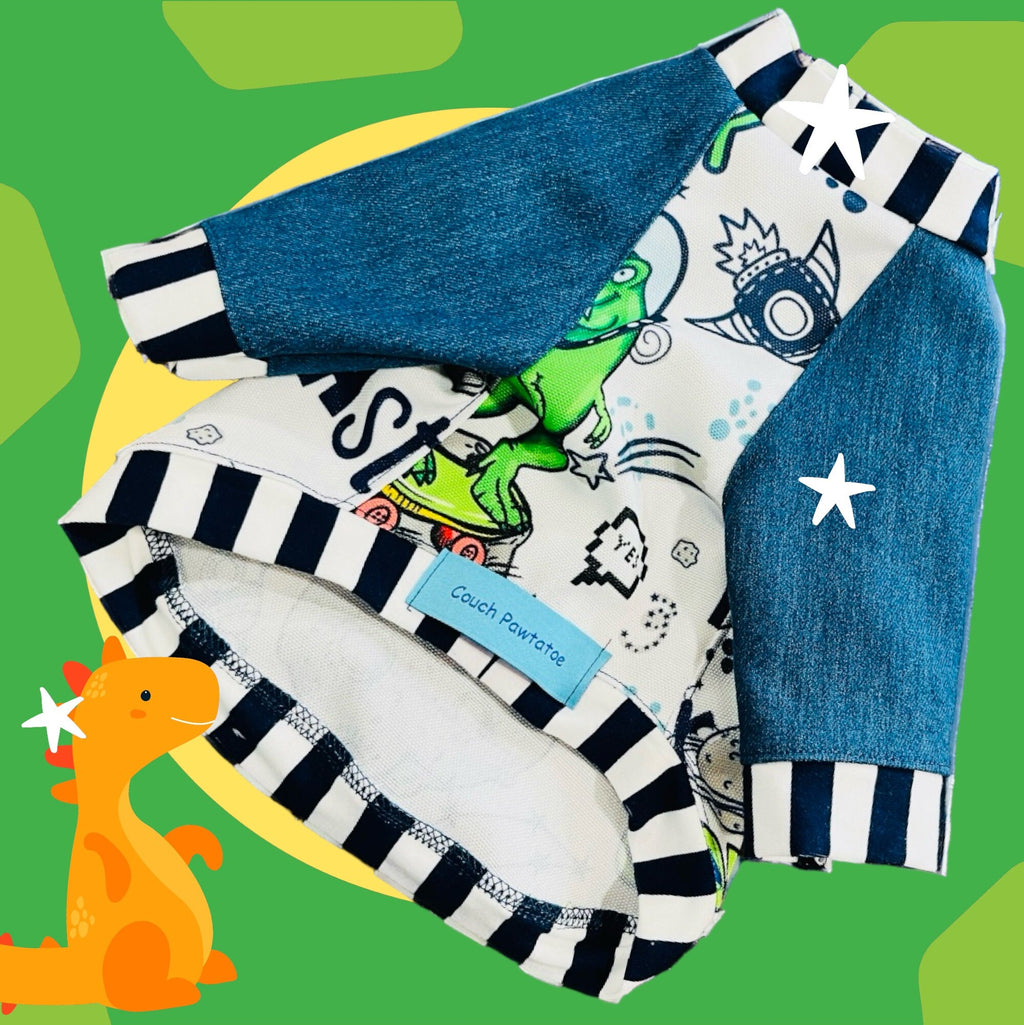 OUTER SKATE DINO Shirt for Small Pets, Handmade Pet Clothing