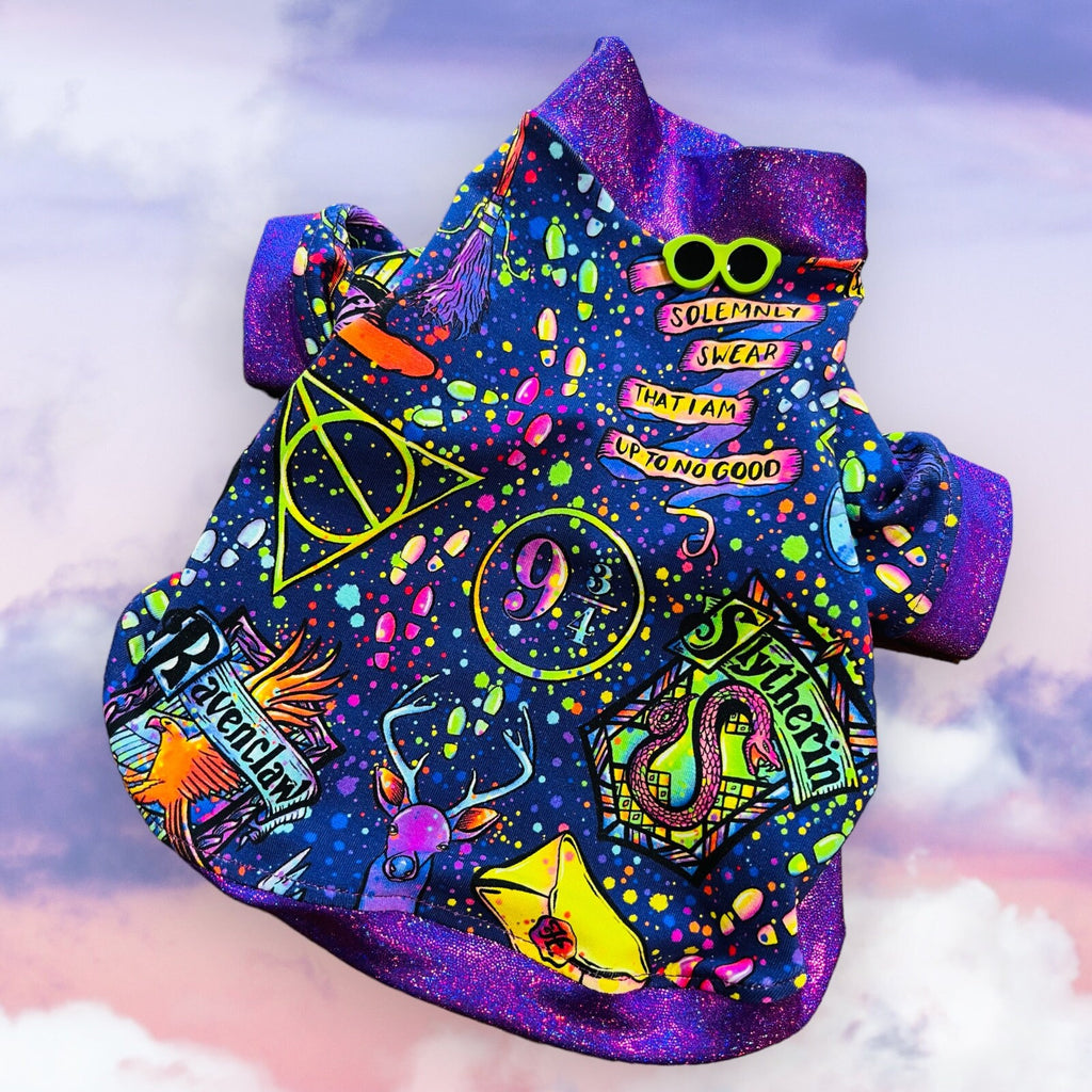 WIZARDRY & SPELLS Dog Shirt: Fantasy pet Clothing