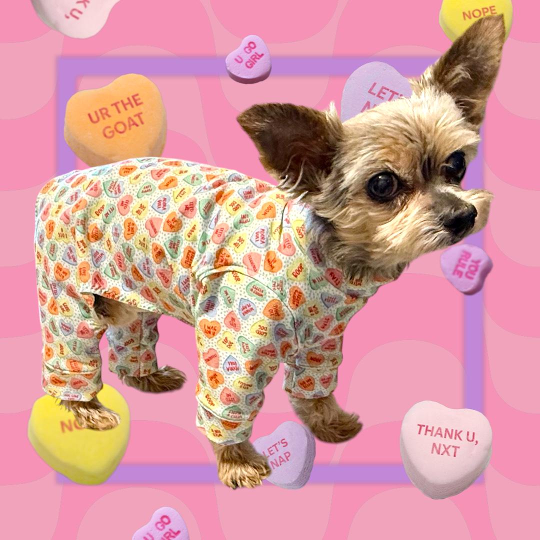CANDY HEART JAMMIES for Small Pets, Stretch Onesie, Handmade Dog Clothing