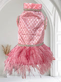 MATERIAL GIRL DRESS for Small Dogs, Handmade Pet Clothing