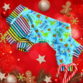 GIFT RAPTOR ONESIE for Small Pets: Also available as a Shirt